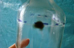   Metode de indepartare a urmelor de apa dura de pe suprafetele din sticla 