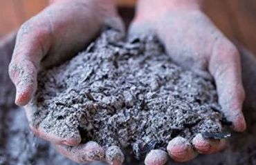 Cum sa fertilizezi ceapa. Cenusa este excelenta #Cenusa #CenusaCeapa
