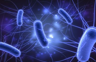 Infectia cu E. coli - cauze, simptome, tratament