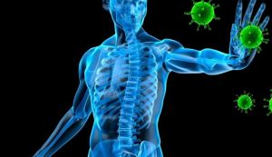 Cum poate fi intarit sistemul imunitar