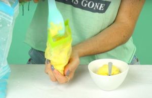 Cum sa prepari SORBET in 5 minute