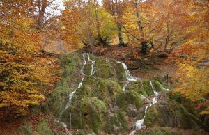 Obiective turistice in Salaj. In vizita pe Platforma Somesana