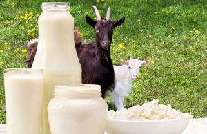 De ce e bine sa consumi lapte de capra
