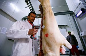 Productia de carne in Romania. Cate animale au fost sacrificate in 2023