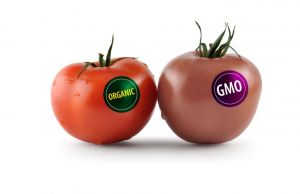 Cum sa eviti alimentele modificate genetic